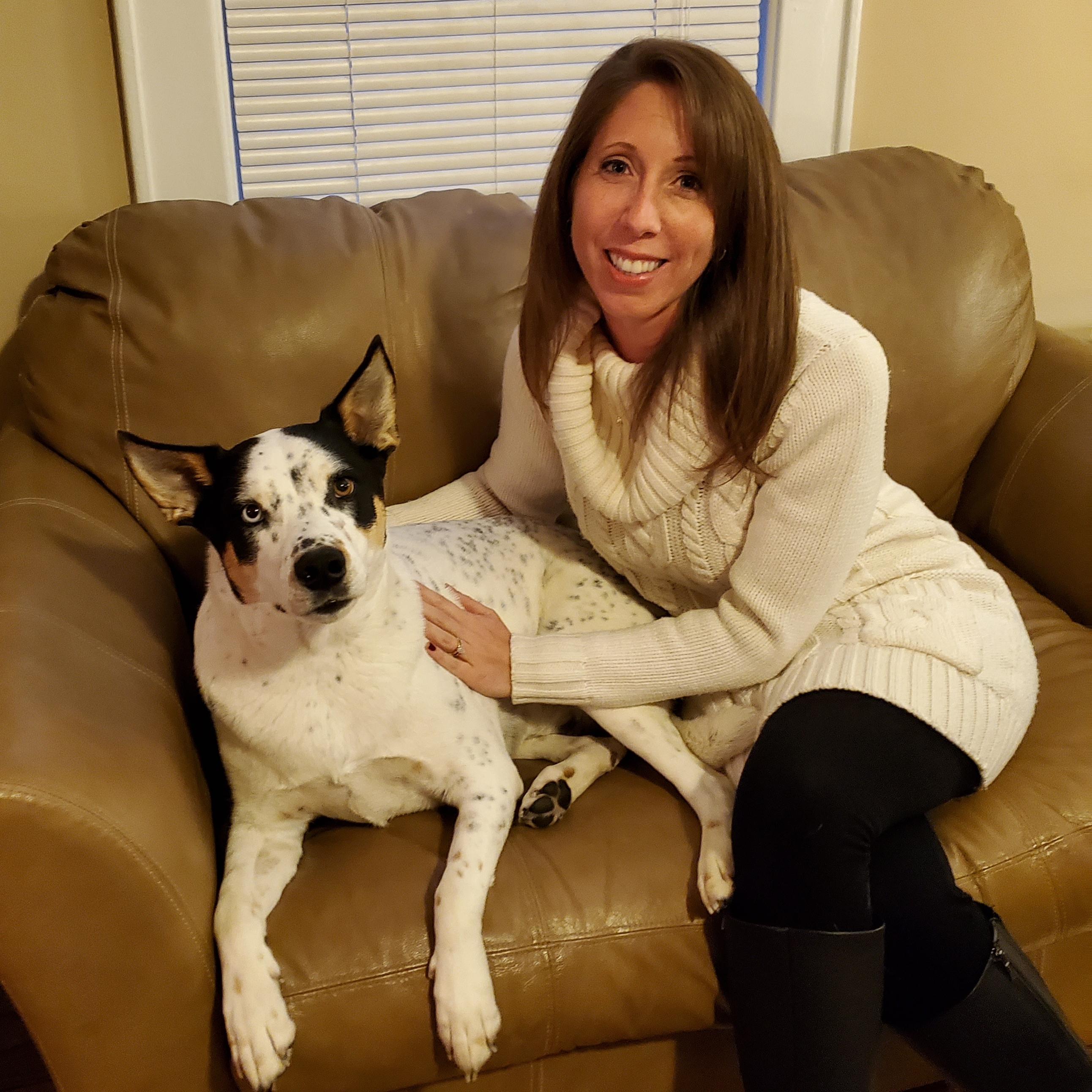 Read more about the article Crystal DeStefano appointed President for Helping Hounds’ Board